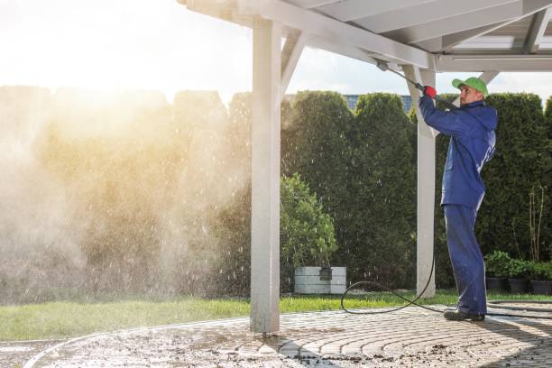 Best Solar Panel Cleaning  in Lockney, TX