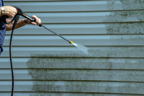 Best Spring Cleaning  in Lockney, TX